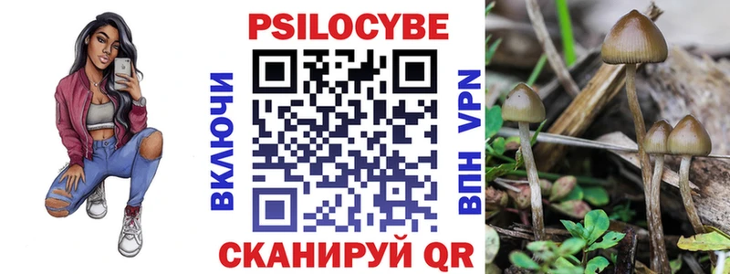 площадка какой сайт Чухлома Псилоцибиновые грибы прущие грибы
