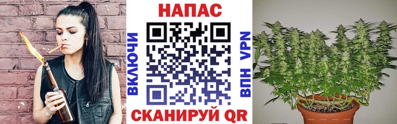 закладки  Чухлома  МАРИХУАНА сатива 